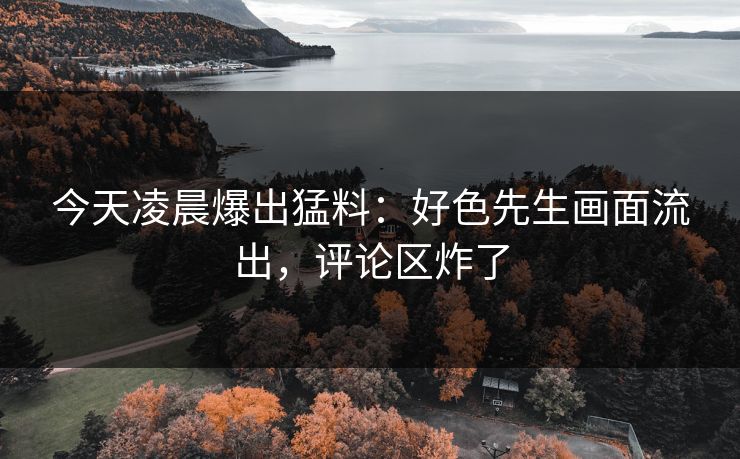 今天凌晨爆出猛料：好色先生画面流出，评论区炸了