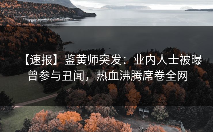 【速报】鉴黄师突发：业内人士被曝曾参与丑闻，热血沸腾席卷全网