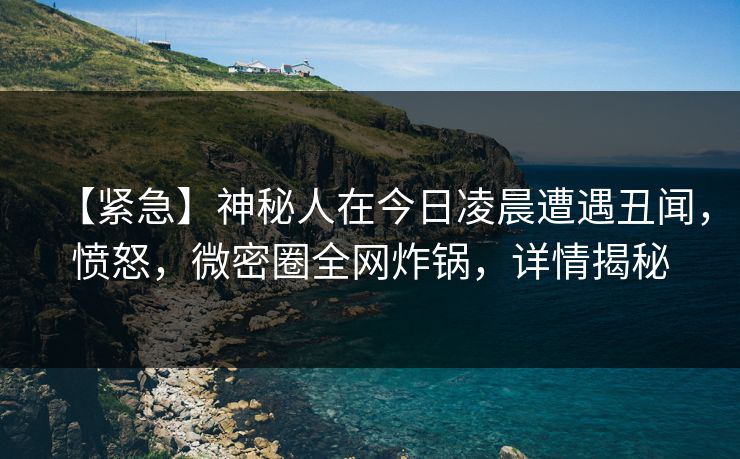 【紧急】神秘人在今日凌晨遭遇丑闻，愤怒，微密圈全网炸锅，详情揭秘
