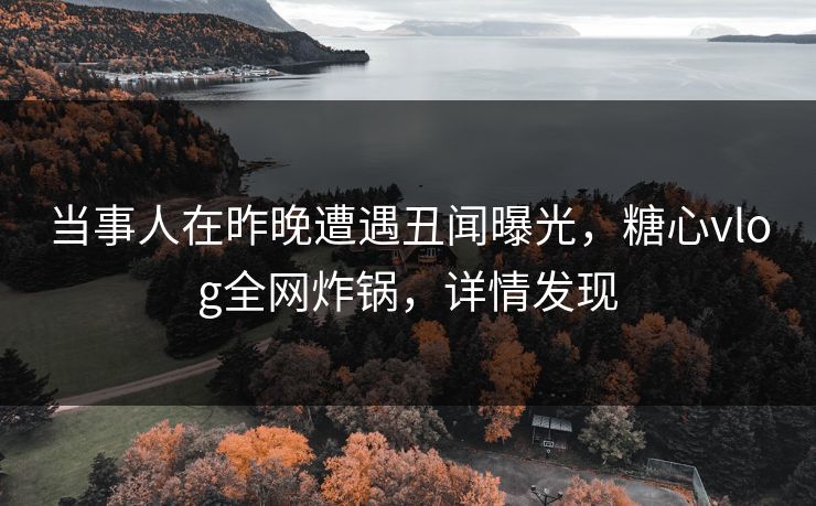 当事人在昨晚遭遇丑闻曝光，糖心vlog全网炸锅，详情发现