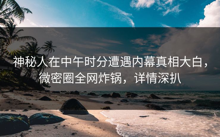 神秘人在中午时分遭遇内幕真相大白，微密圈全网炸锅，详情深扒