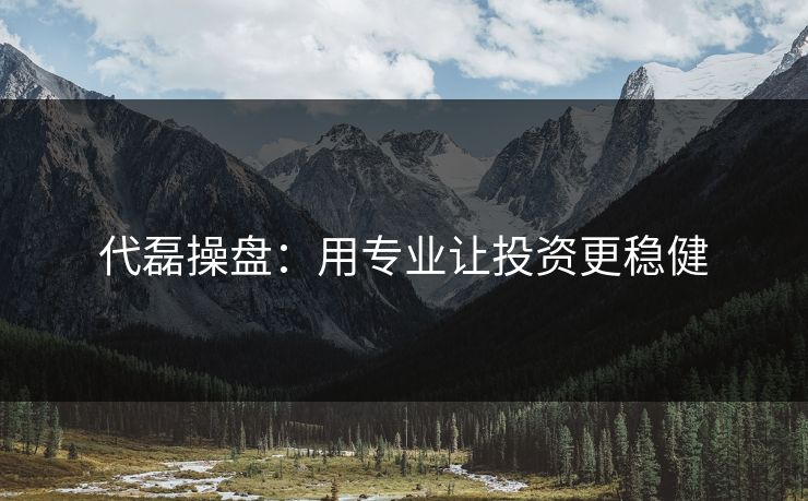 代磊操盘：用专业让投资更稳健