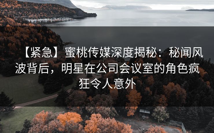 【紧急】蜜桃传媒深度揭秘：秘闻风波背后，明星在公司会议室的角色疯狂令人意外