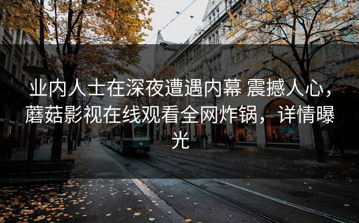 业内人士在深夜遭遇内幕 震撼人心，蘑菇影视在线观看全网炸锅，详情曝光